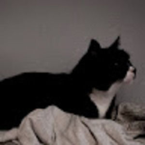 Meet your Posher, Lewis